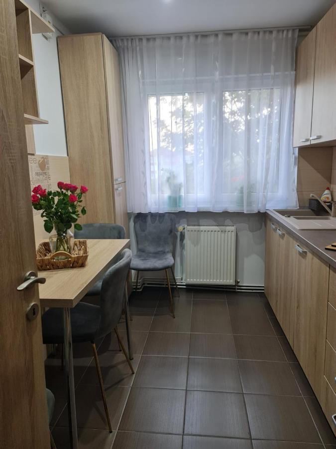 Apartament Modern Cristina&Jessica Medias Exterior photo